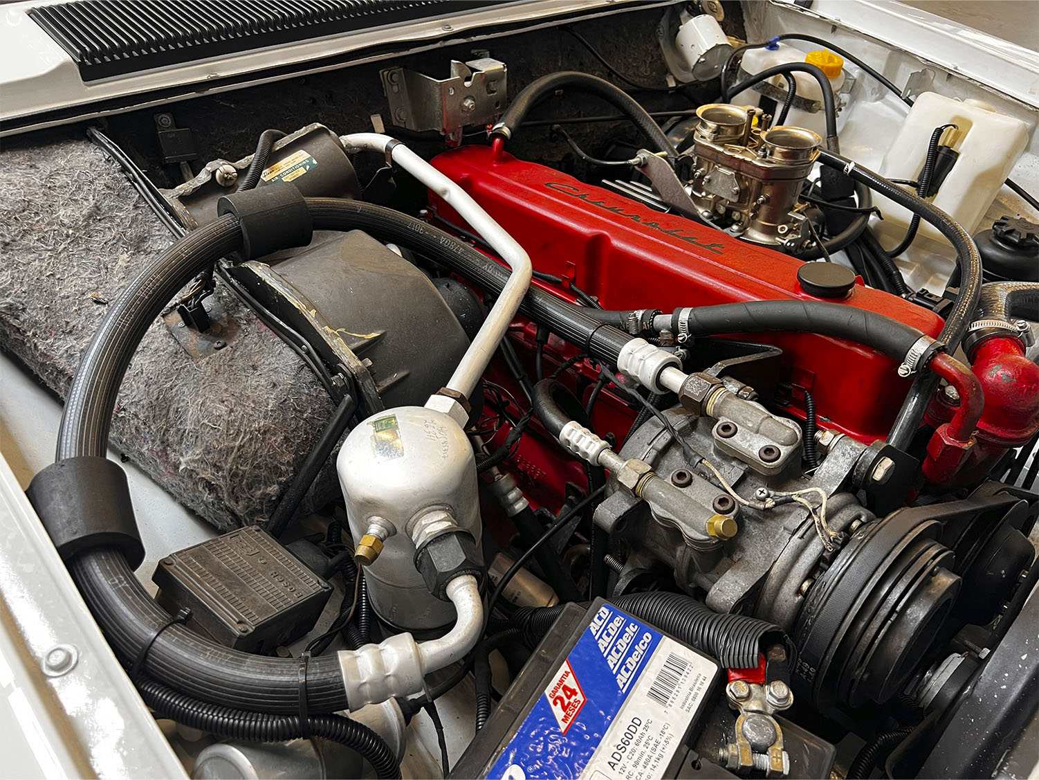 Diplomata coupé branco_0005_IMG_6581