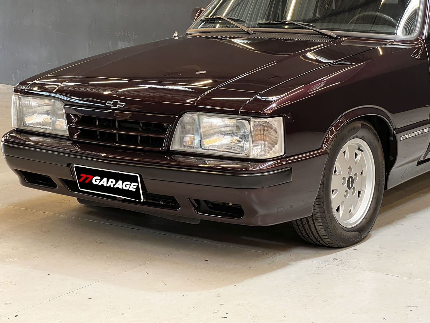 Diplomata vermelho automático_0006_IMG_6814