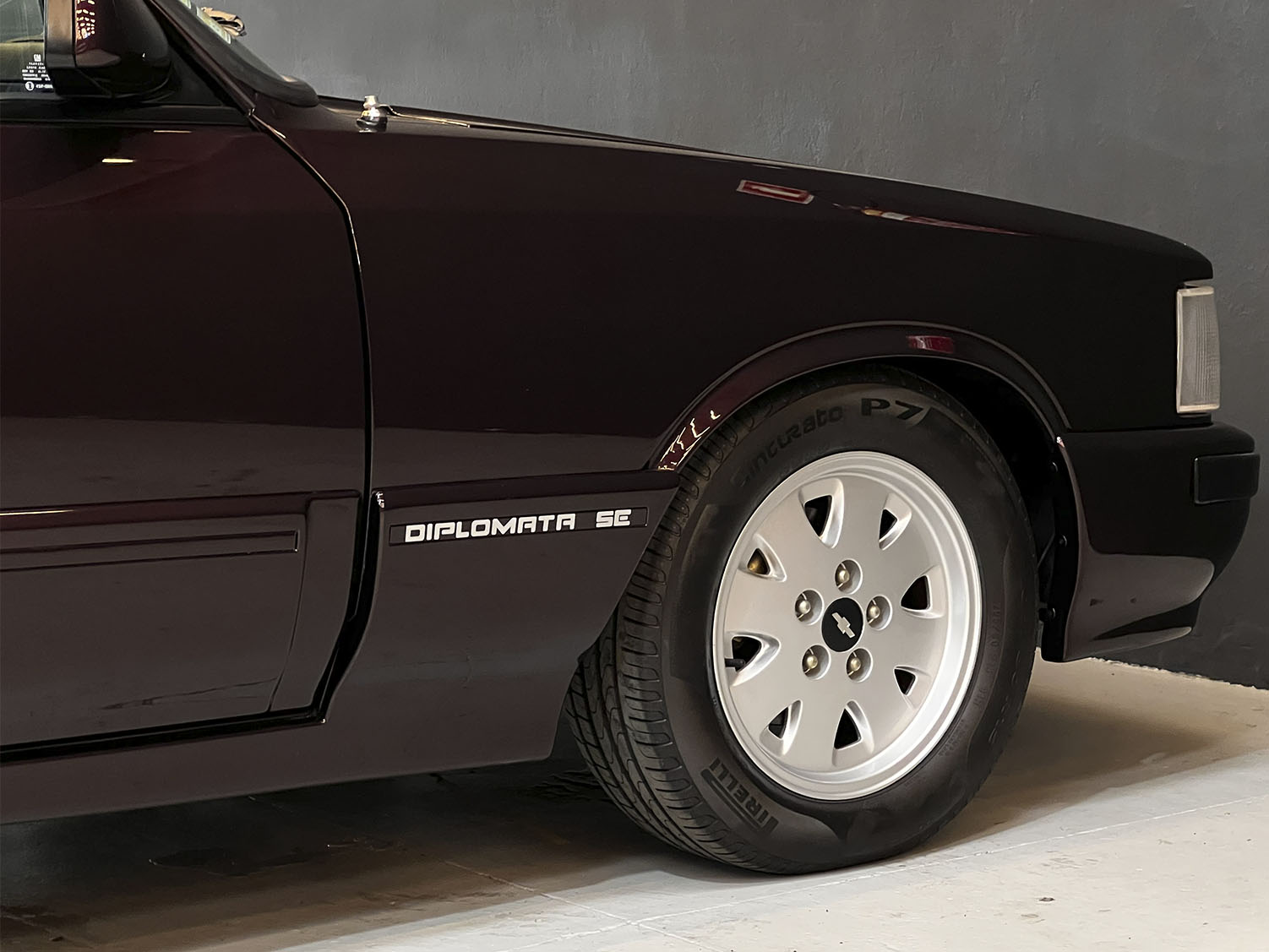 Diplomata vermelho automático_0009_IMG_6807