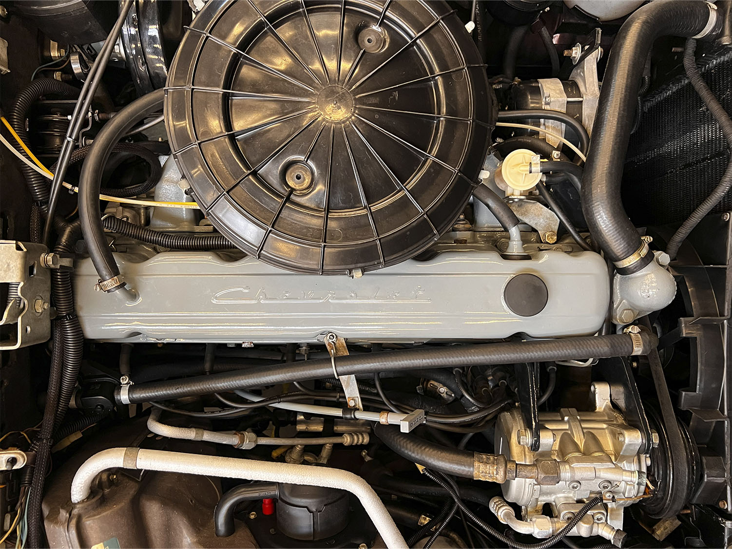 Diplomata vermelho automático_0016_IMG_6795